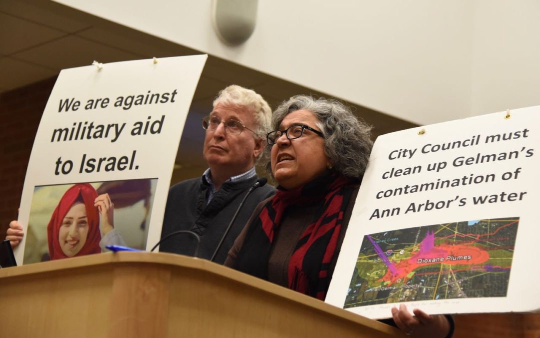 [Article]: Anti-Israel activist and environmentalist running for Ann Arbor council